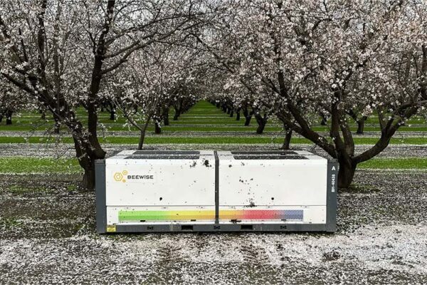 Beewise BeeHome robotic hive between rows of flowering orchard trees