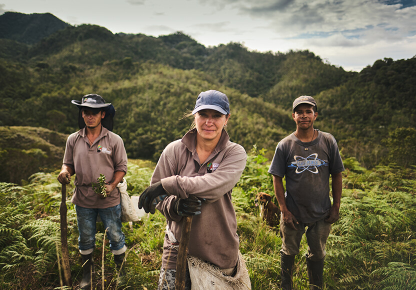 Three local restoration workers stand with planting tools on a fern-covered hillside in Antioquia, Colombia