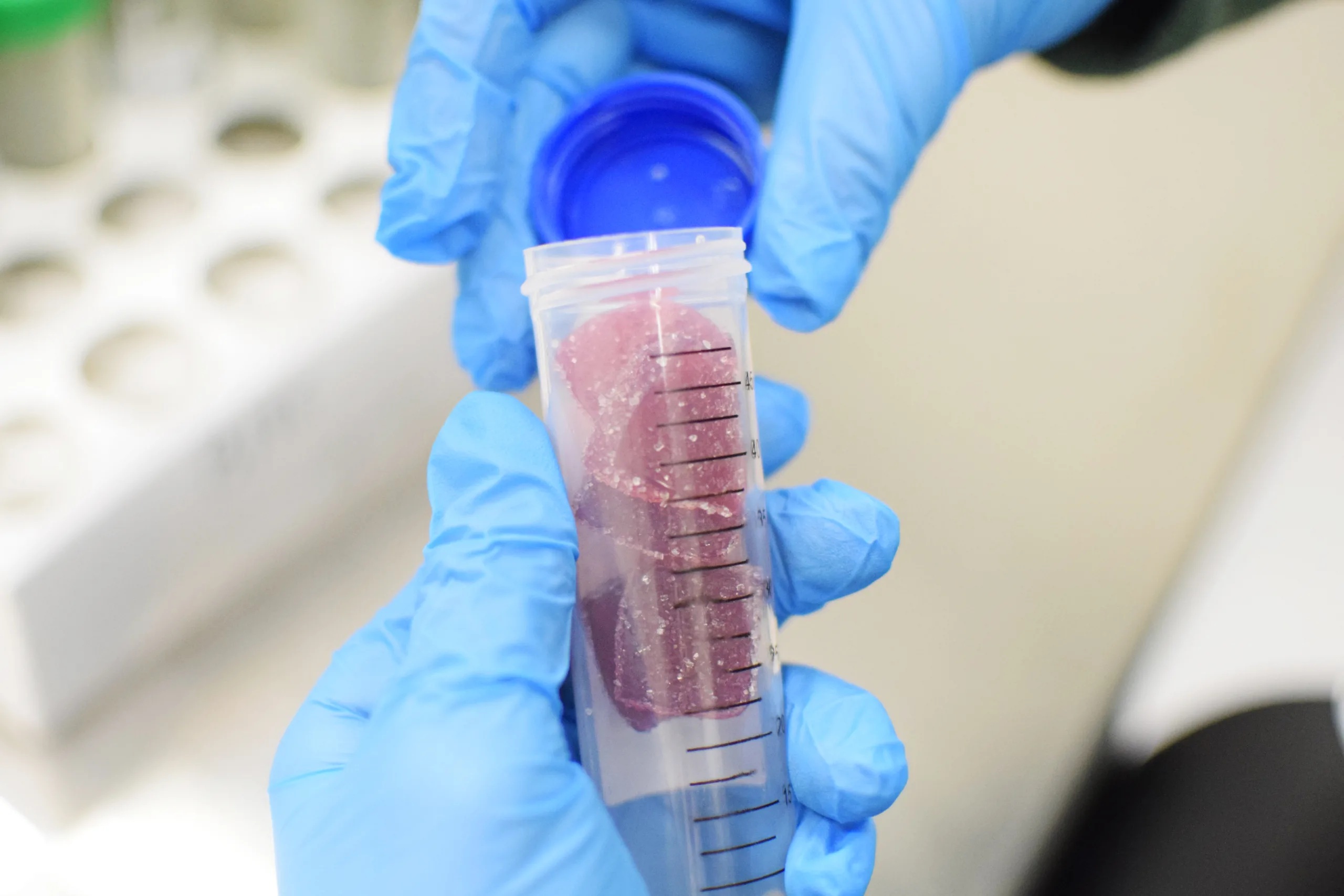 Blue-gloved hands hold a sample tube containing gummy material