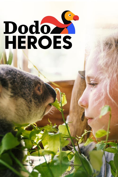 Dodo Heroes poster showing a woman face to face with a koala