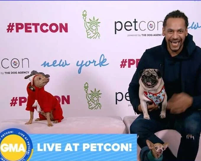 Good Morning America broadcasting live from PetCon with pet creators on set