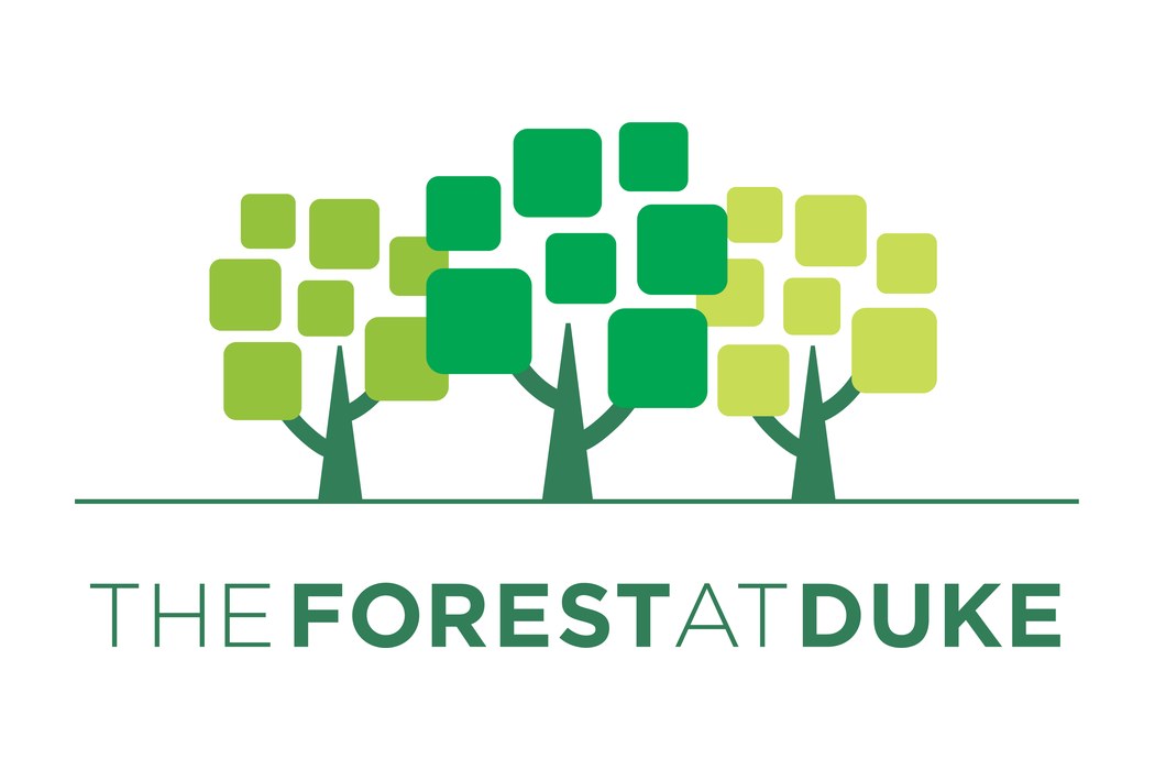 The Forest at Duke