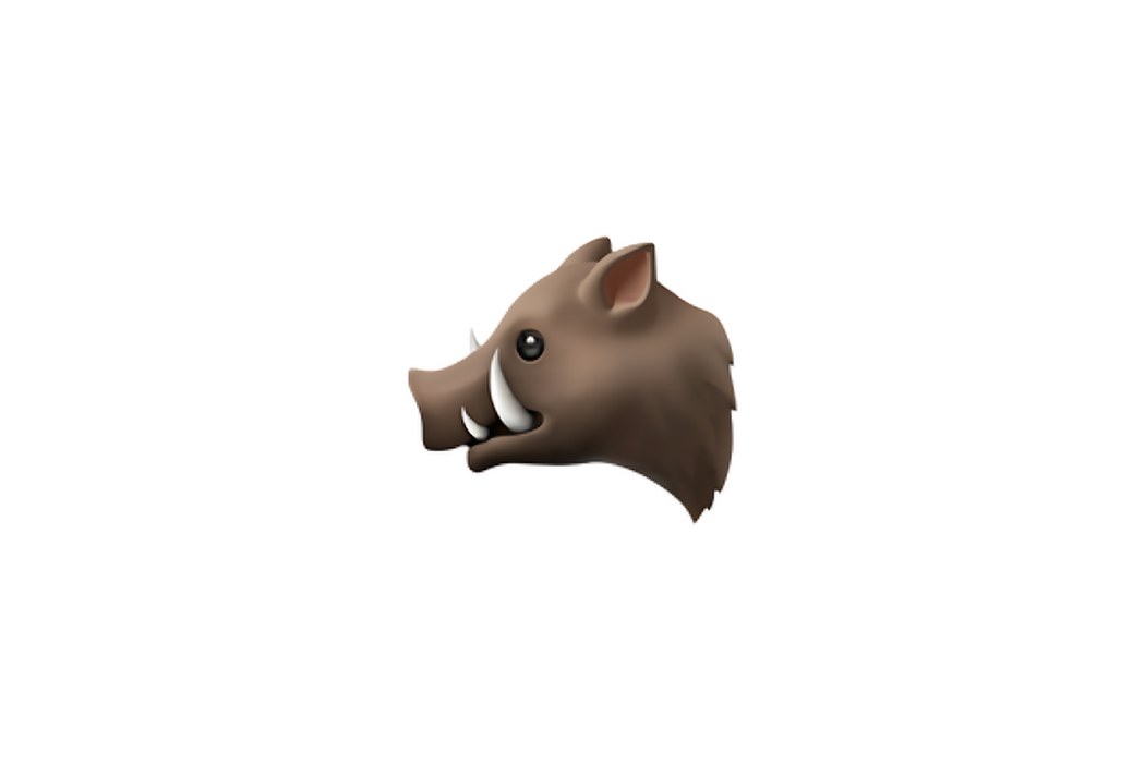 The Hog