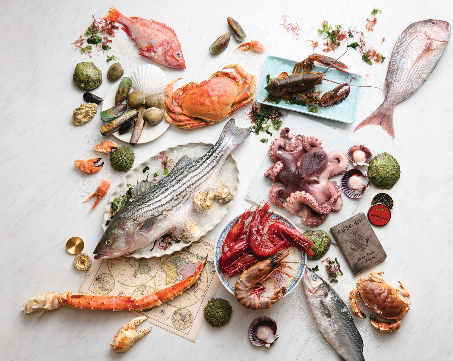 An assortment of whole fish, shellfish and seafood arranged in an Oceanaire promotional photograph