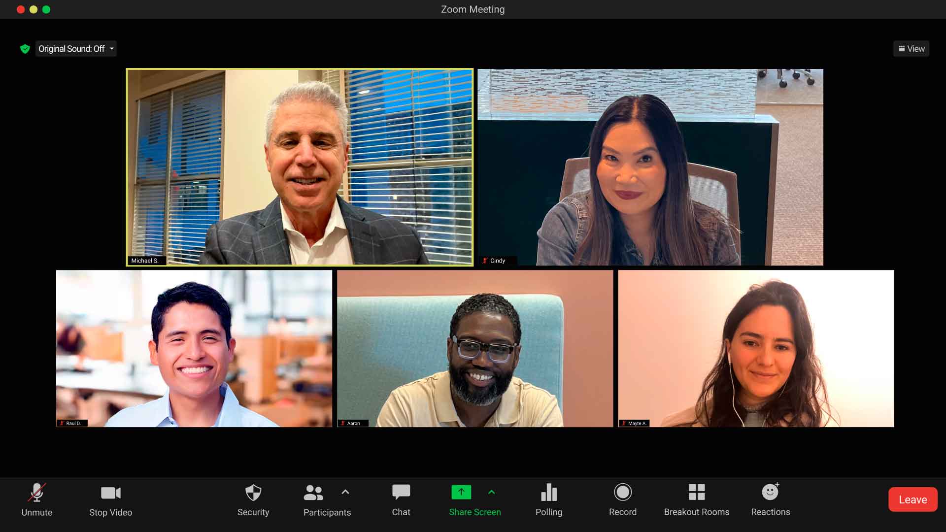 Members of The Shepherd Group meeting by video call