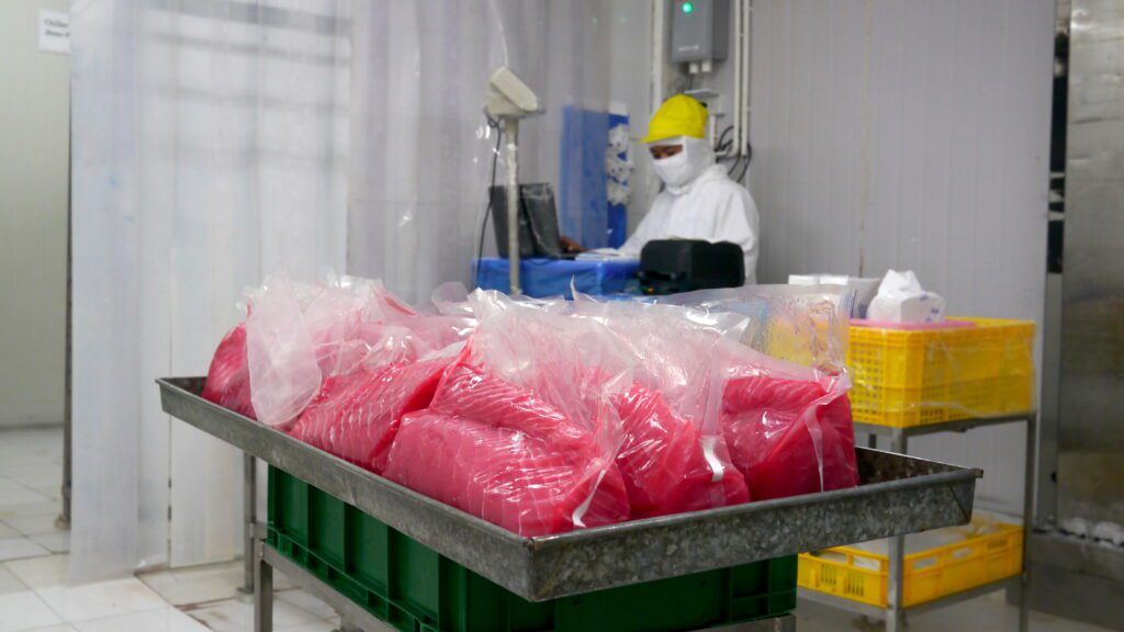 Prepared tuna in transparent packaging on a cart at Tuna Paradise, with a processing worker behind it.