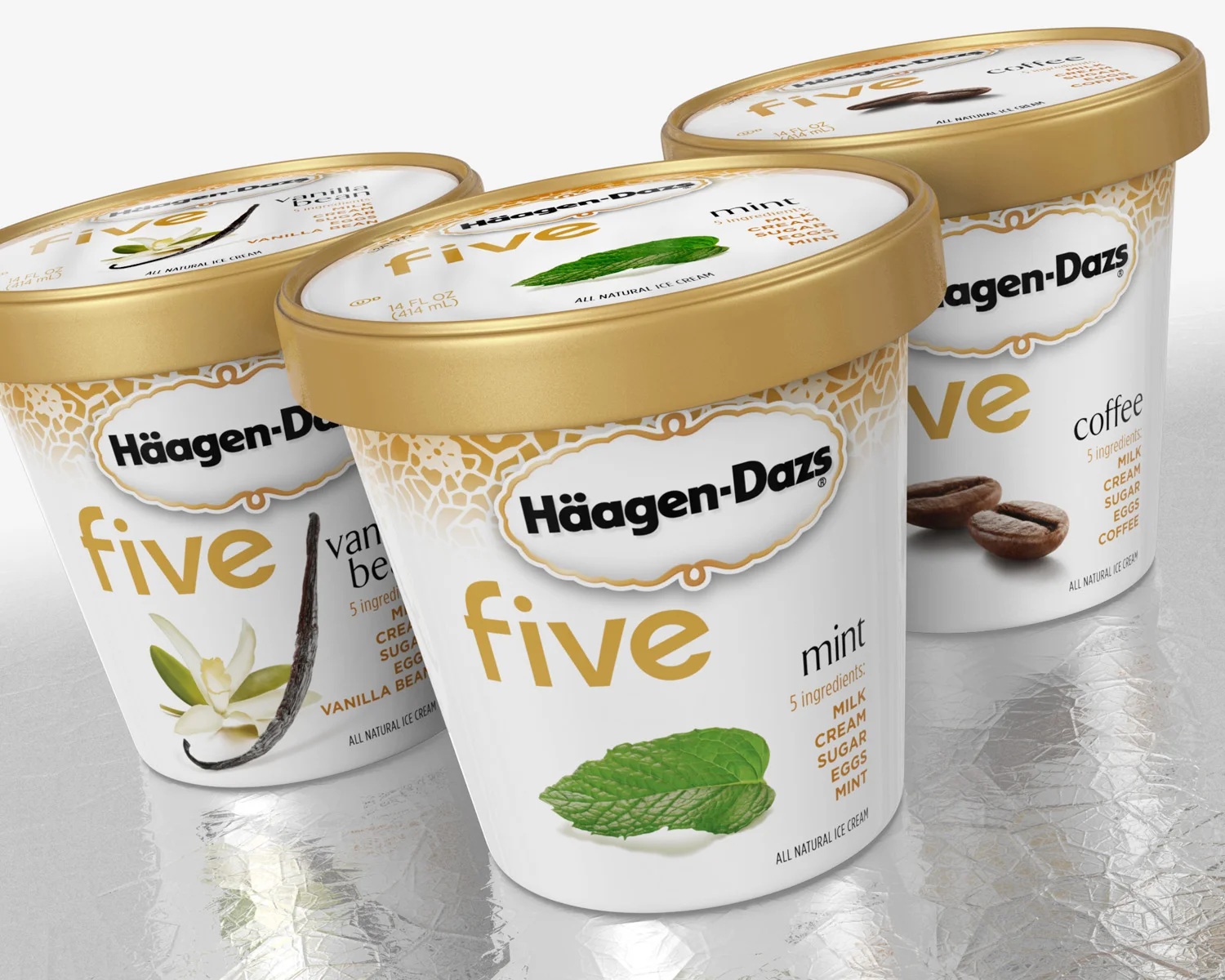 Häagen-Dazs five ice cream cartons from Thompson Design Group’s portfolio