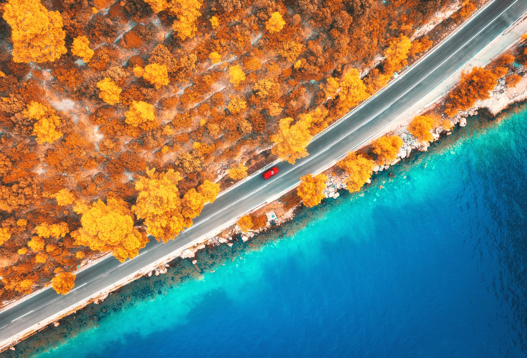 A road winding through forest, representing the movement between carsharing trips
