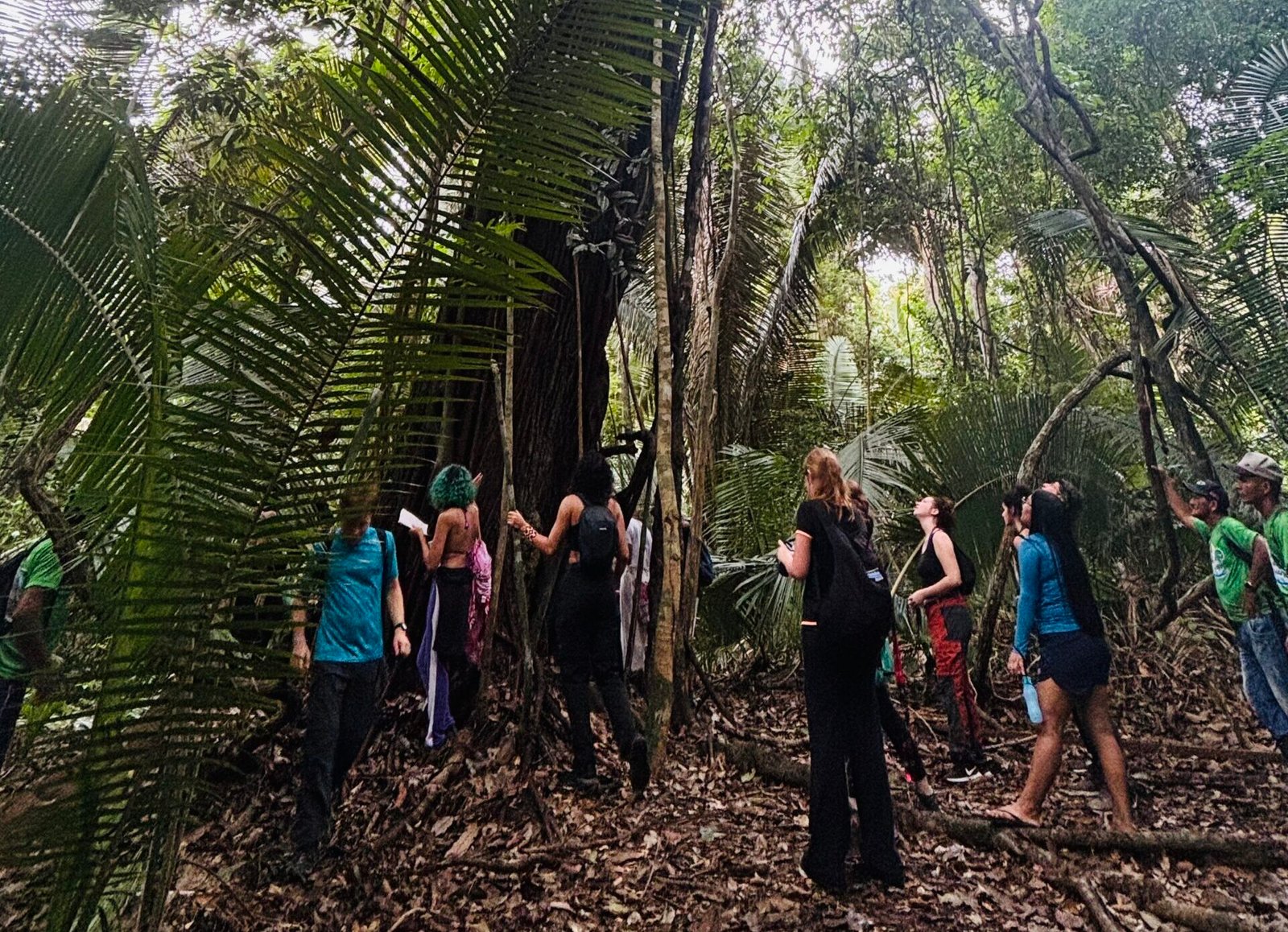 A TL group walking with local guides beneath dense rainforest canopy