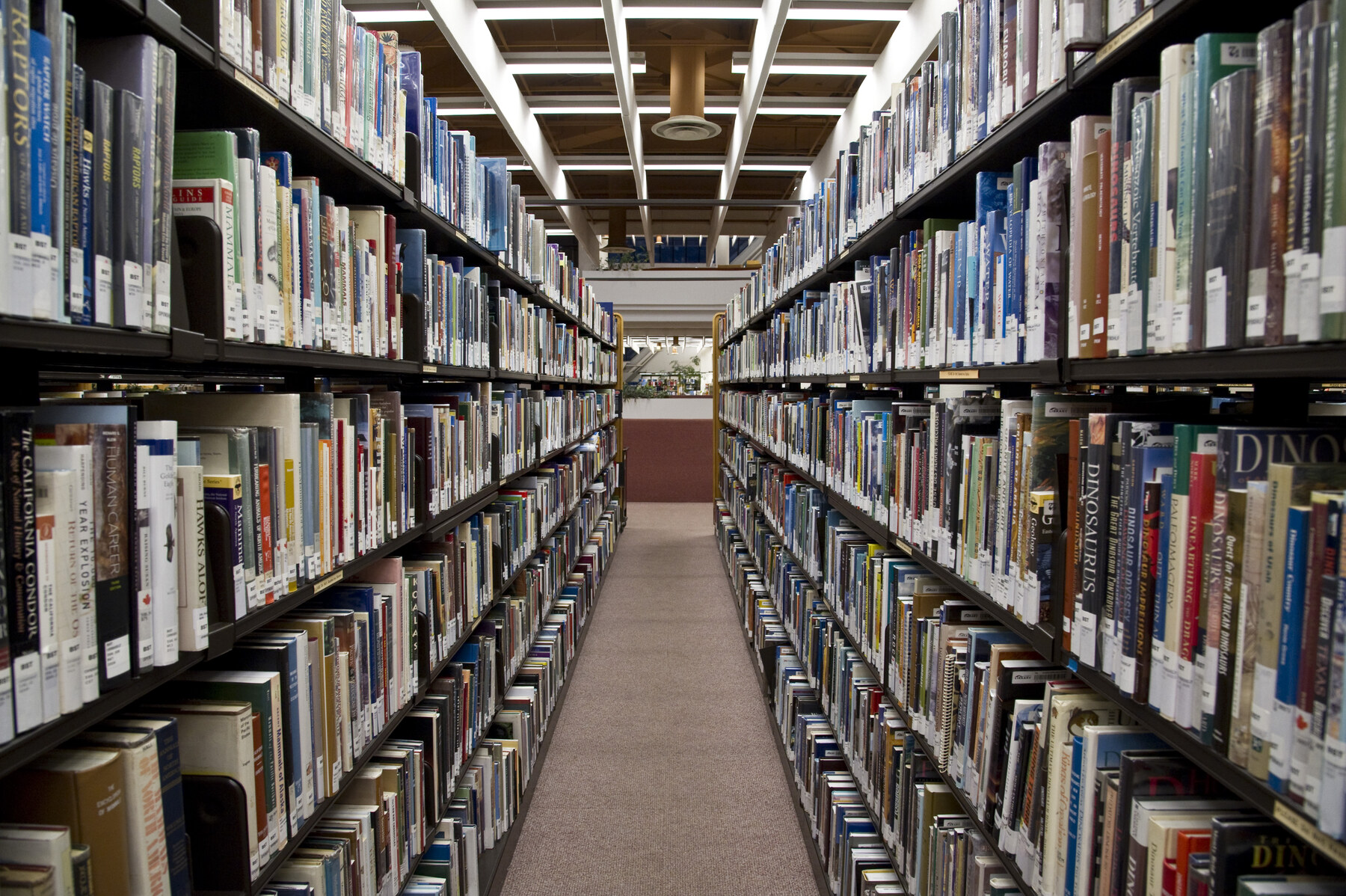 Rows of book stacks at Toronto Reference Library
