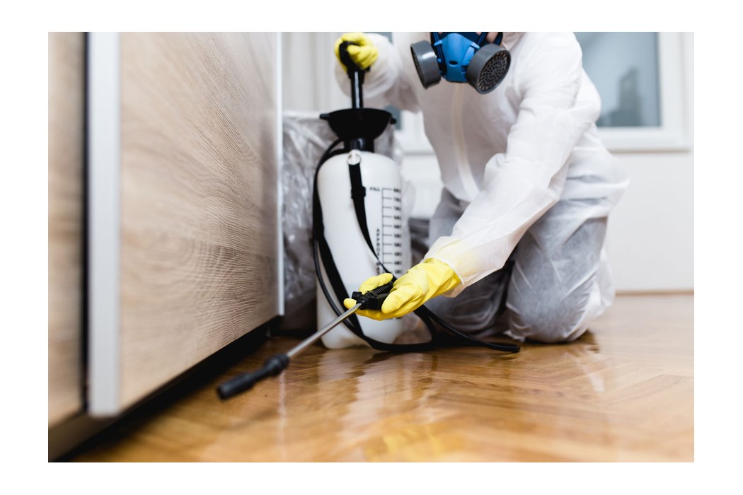 Total Exterminating: Who fixes the wood after the termites?