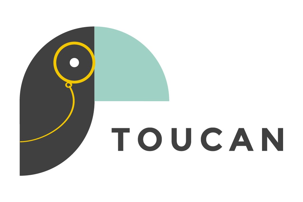 Toucan Bootstrapped to $5 Million ARR - Then Bet the Company on Analytics You Can Talk To