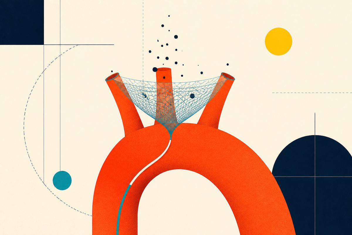 Abstract Swiss-style illustration of an aortic arch, three branch vessels and a mesh catching embolic particles