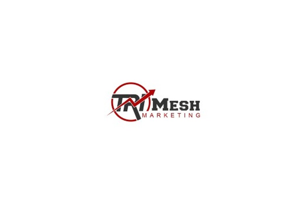 Tri-Mesh Marketing puts the ad and the website on the same brief