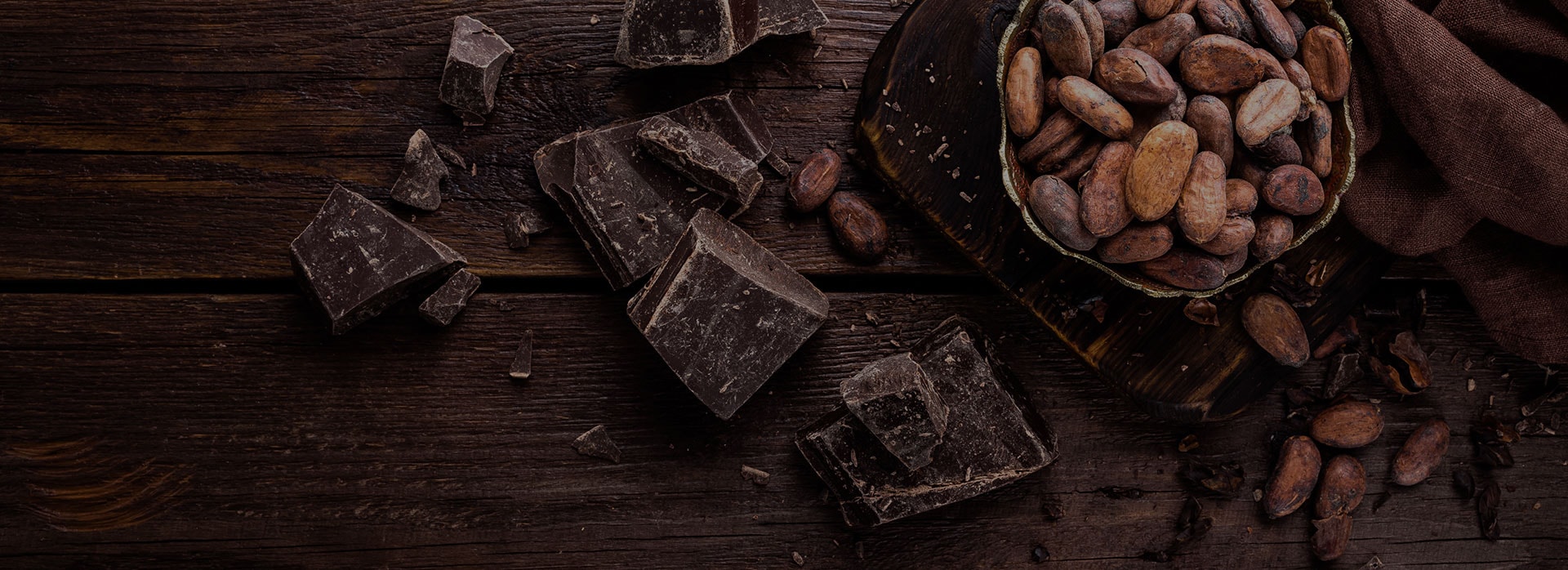 Chocolate pieces and cocoa beans in TRIXMEDIA’s Eat Your Choco portfolio photography