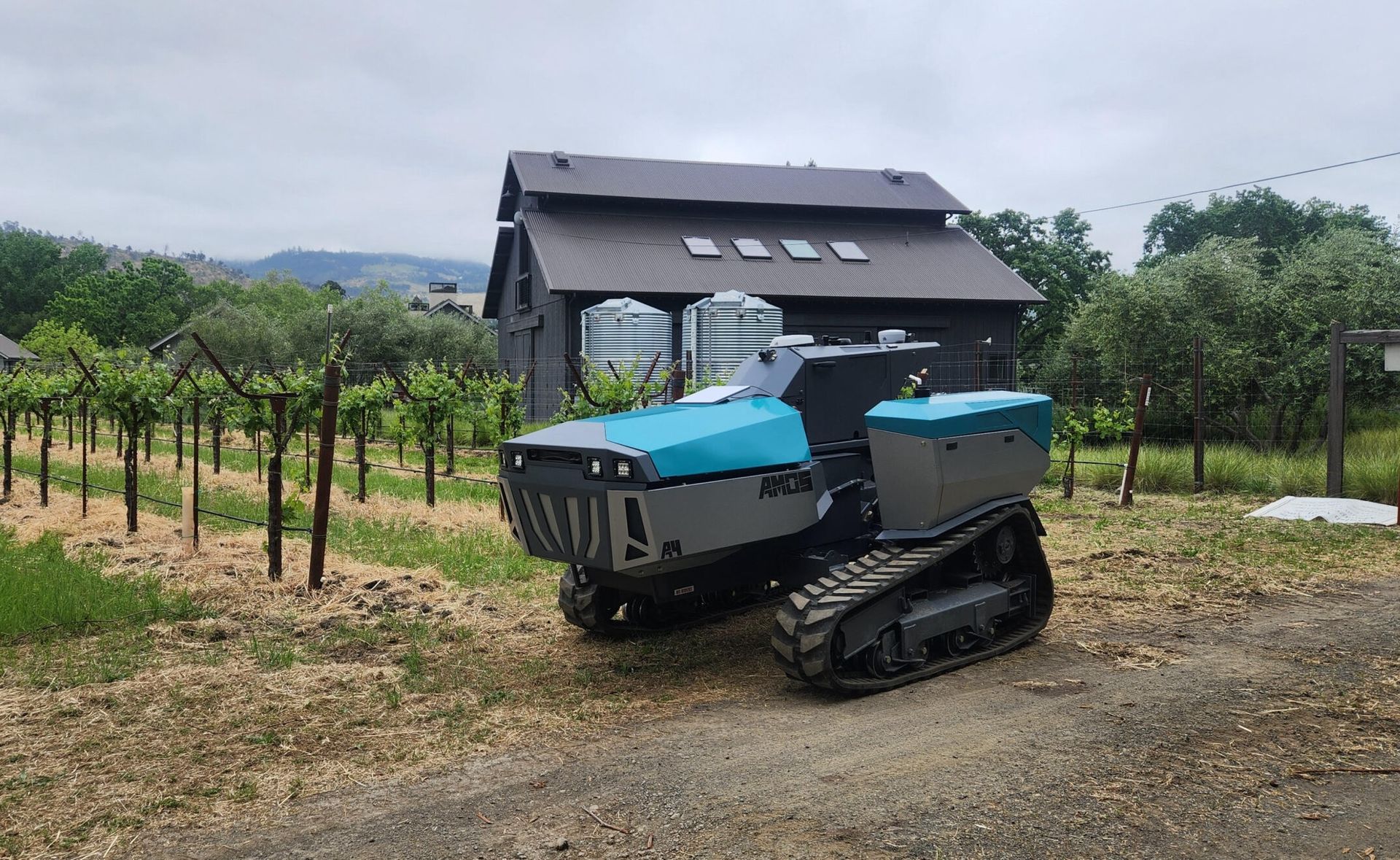 A blue and gray AMOS tracked electric tractor among vineyard rows