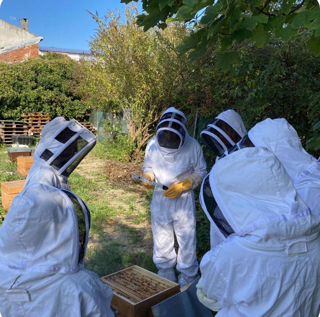 A group in beekeeping suits inspects an open hive together