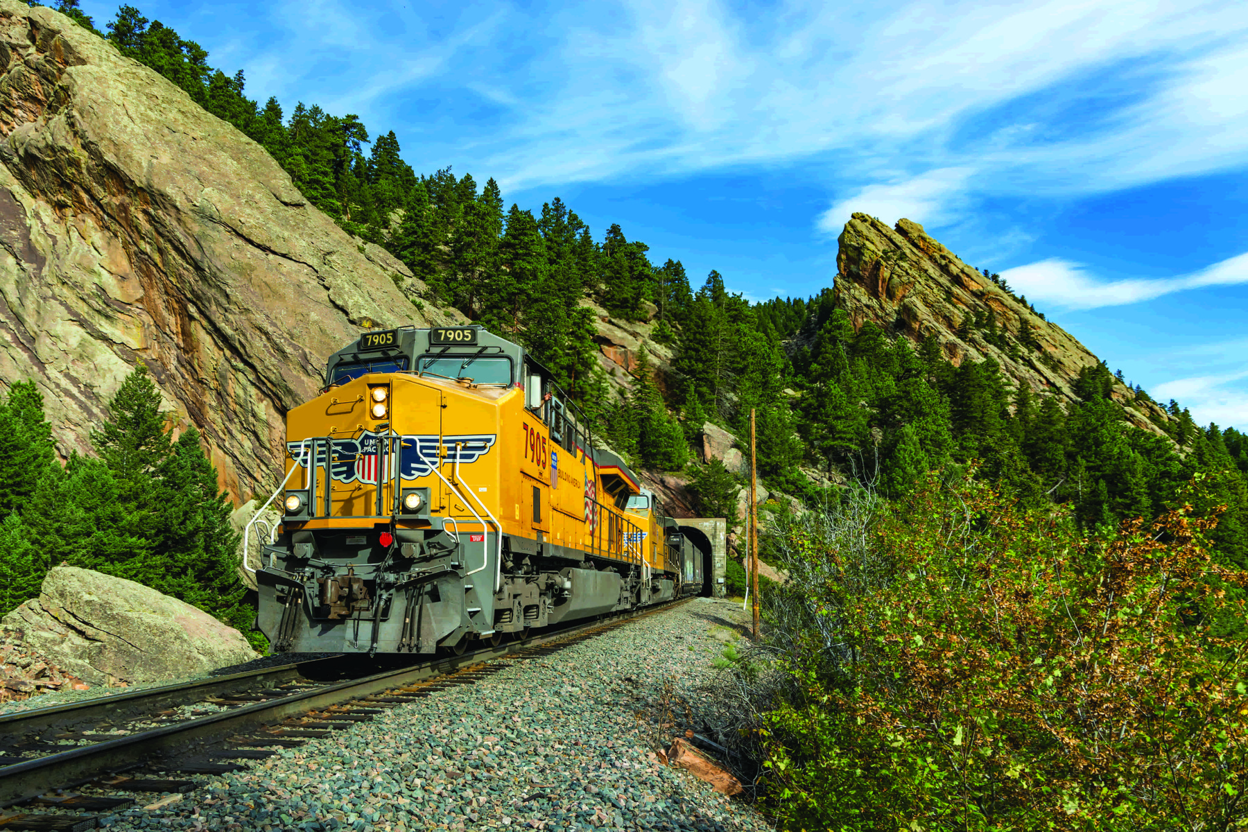 Yellow Union Pacific locomotive 7905 pulling freight through a rocky, wooded corridor
