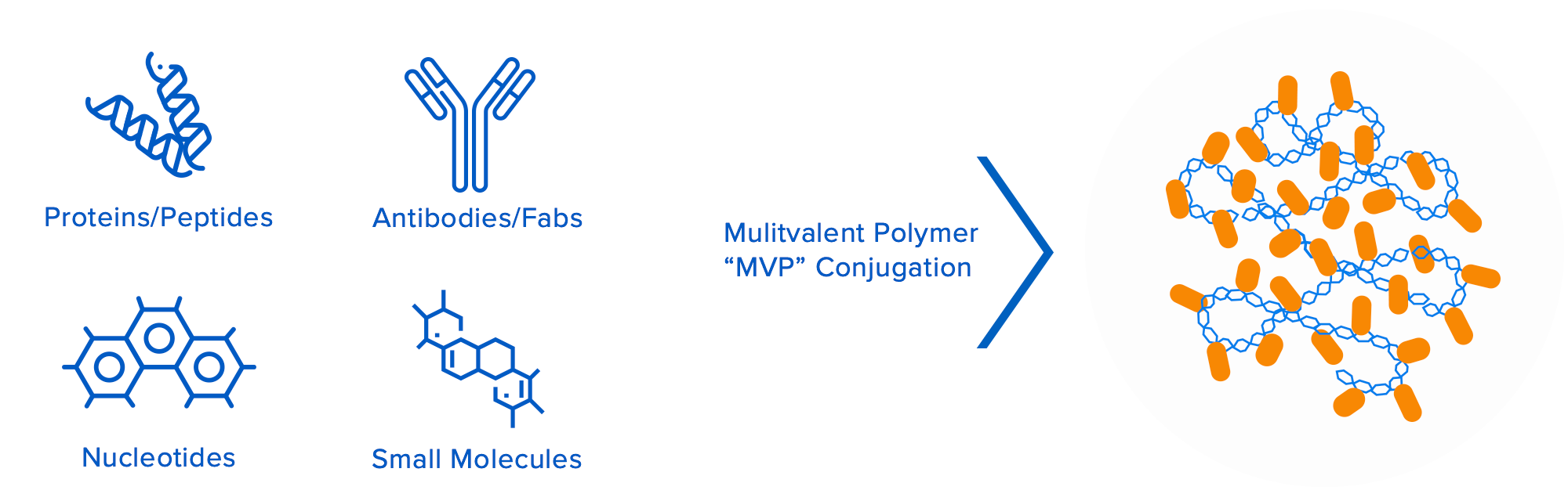 Valitor diagram illustrating multiple active molecules attached to a biopolymer chain