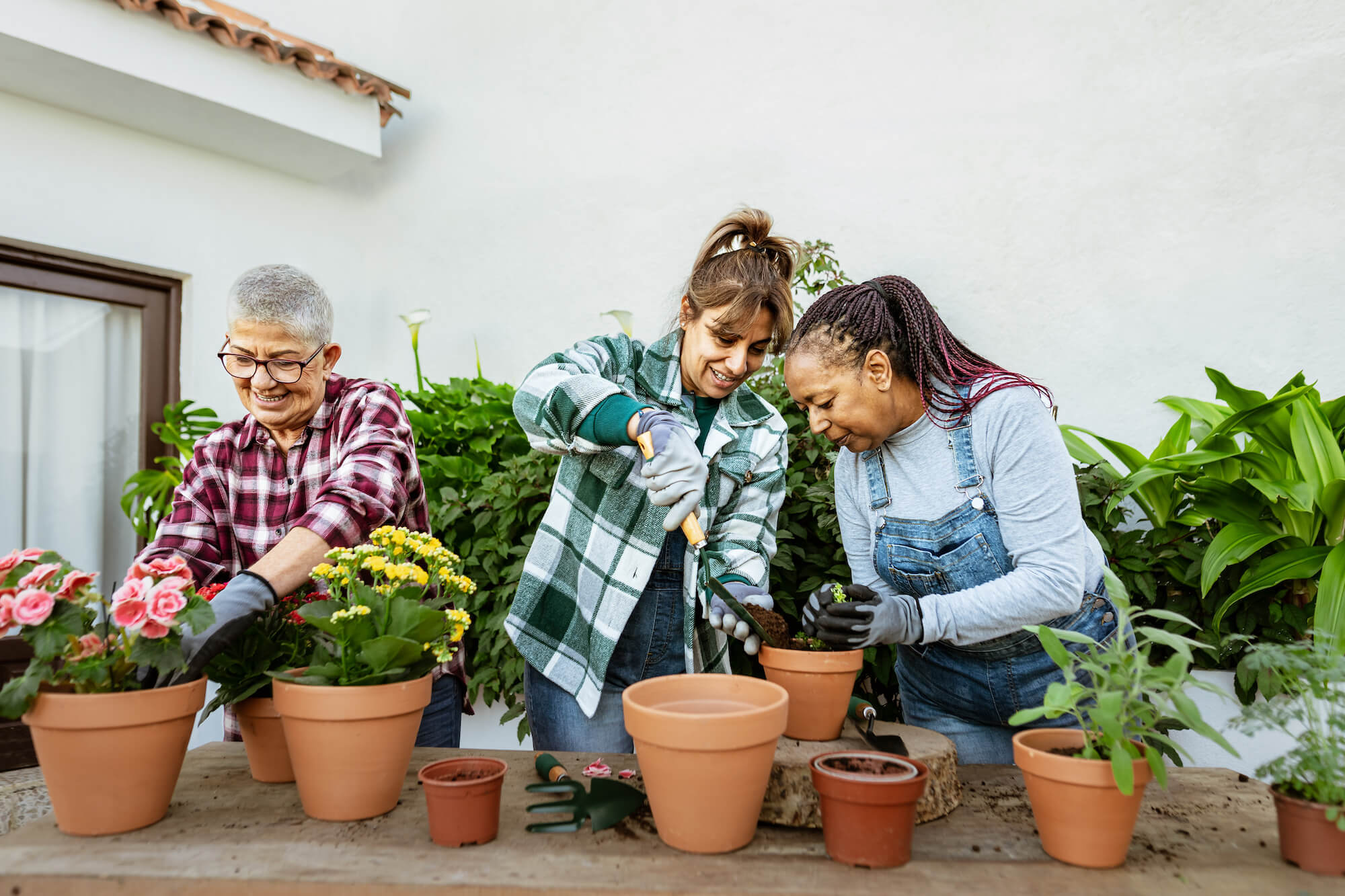 Three women potting flowers together in a garden