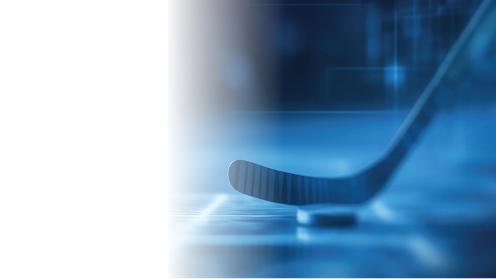 Hockey stick and puck in the illustration accompanying VAST Data’s NHL customer story