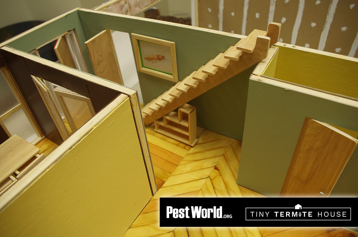 A cutaway miniature home used in the Tiny Termite House campaign