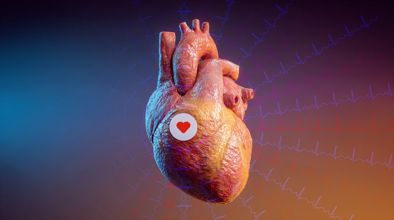 Vena Vitals