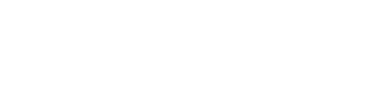 Verne logo