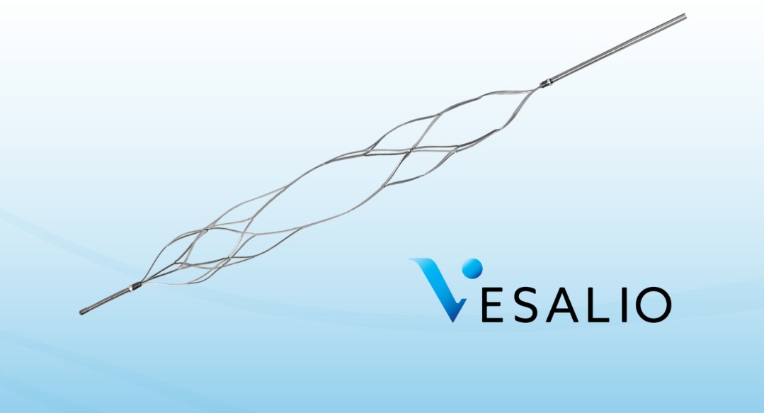 Vesalio NeVa VS expandable nitinol device