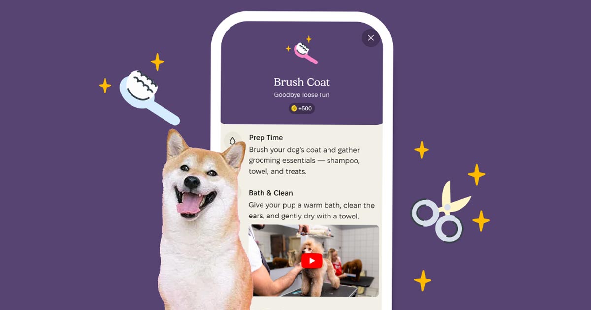 A Vetted app screen showing a Brush Coat task worth 500 Care Coins, next to a Shiba Inu