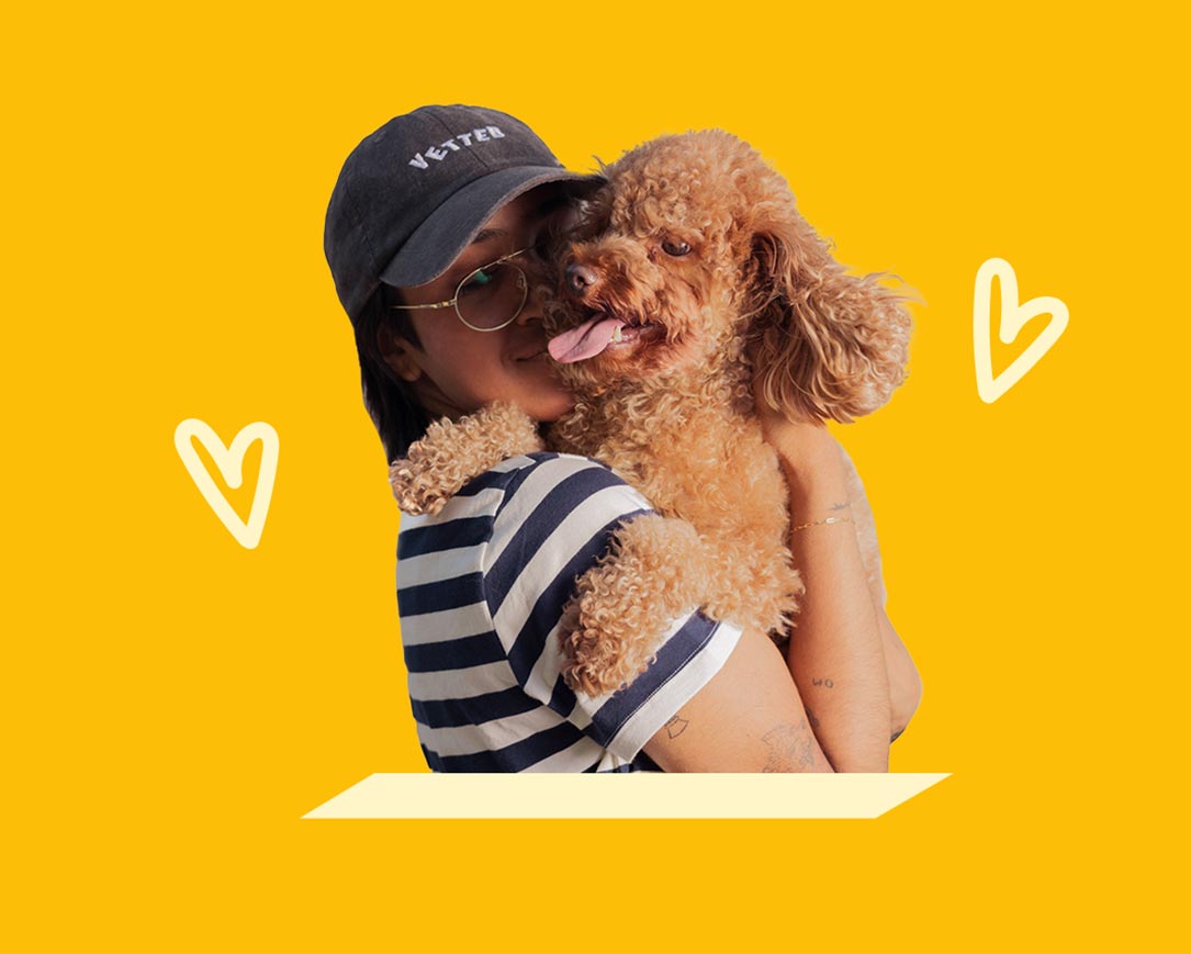 A person in a Vetted cap hugging a curly brown poodle against a yellow background
