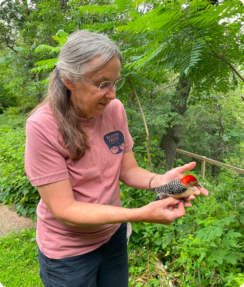 A Beaver Creek Reserve educator gently holding a bird outdoors