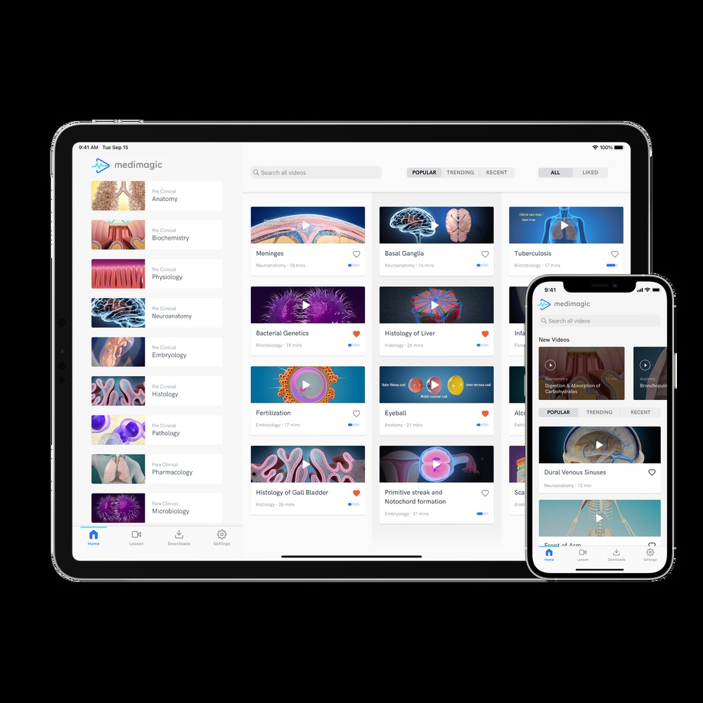 MediMagic's animated medical lesson library displayed on a tablet and phone