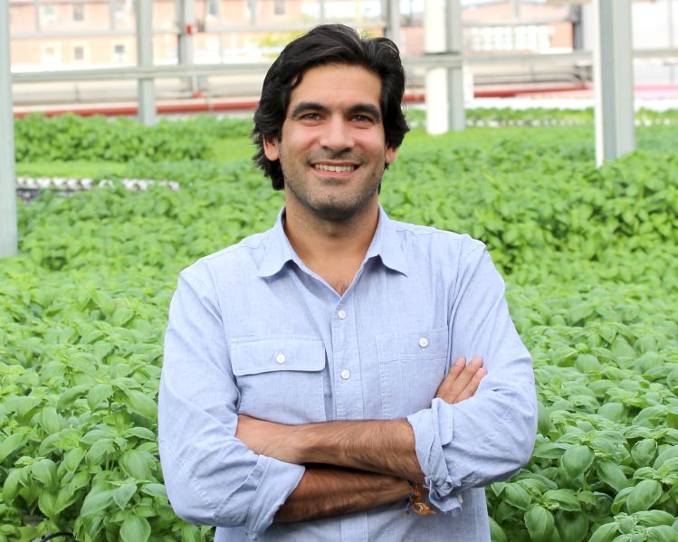 Viraj Puri and the Shorter Journey of a Basil Leaf