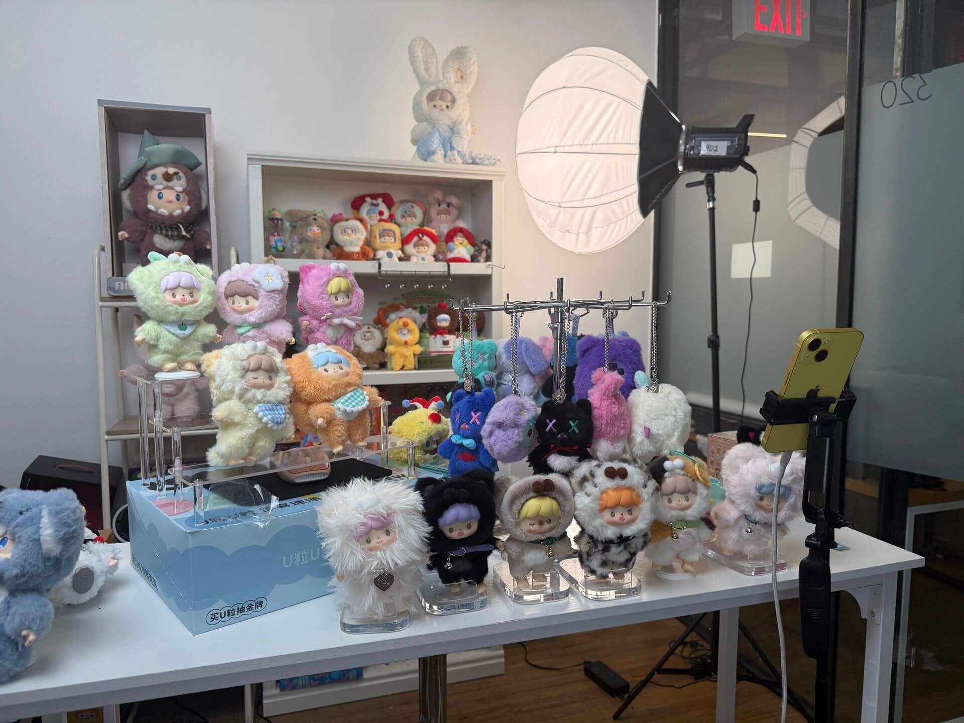Toy merchandise arranged beside a softbox and a mounted phone in a Wahool studio