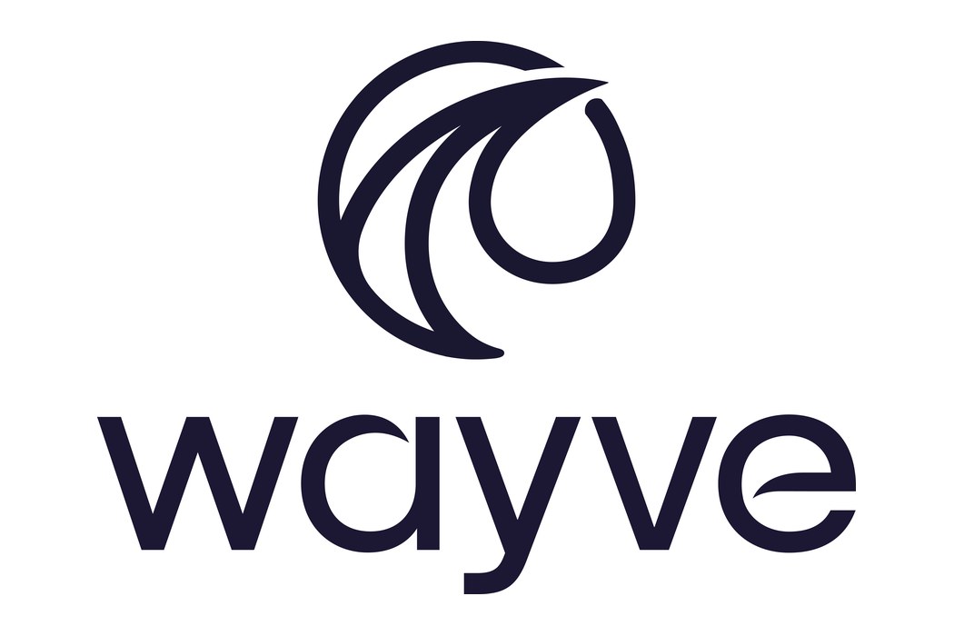 Wayve Raised $2.5 Billion to Teach One AI Driver Every Road
