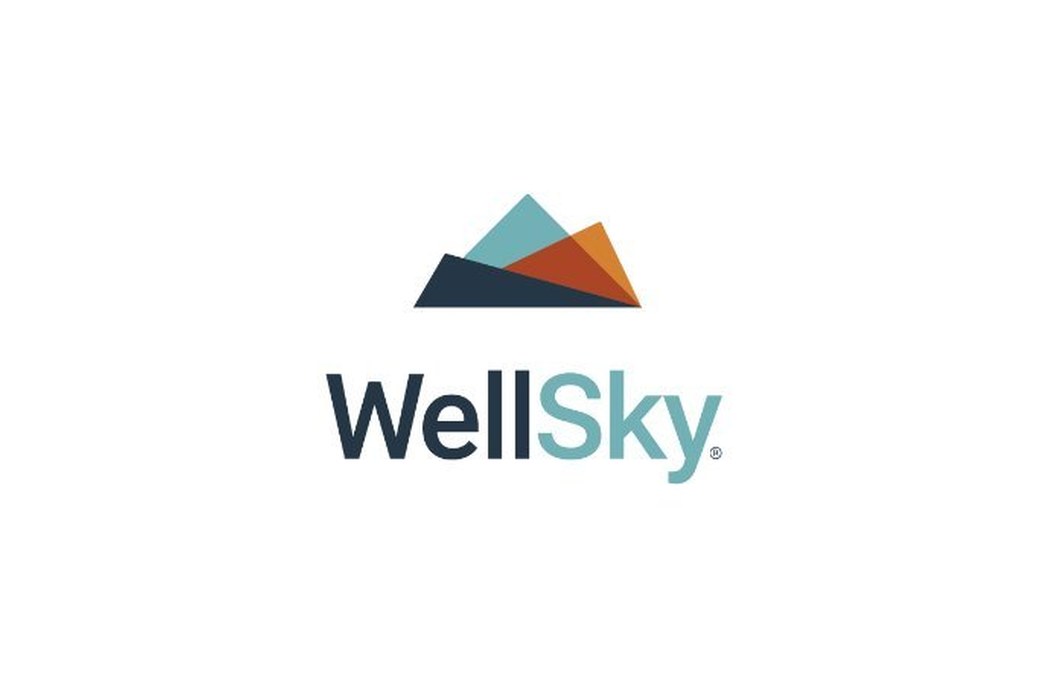 WellSky Put a $1.35 Billion Bridge Between the Hospital and Home