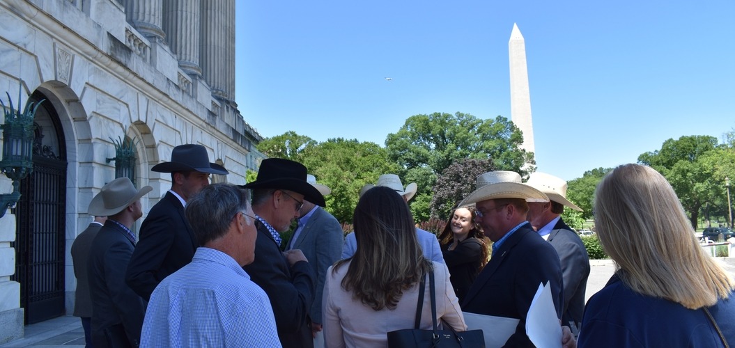 Cattle producers in cowboy hats gather near the United States Capitol with the Washington Monument behind them