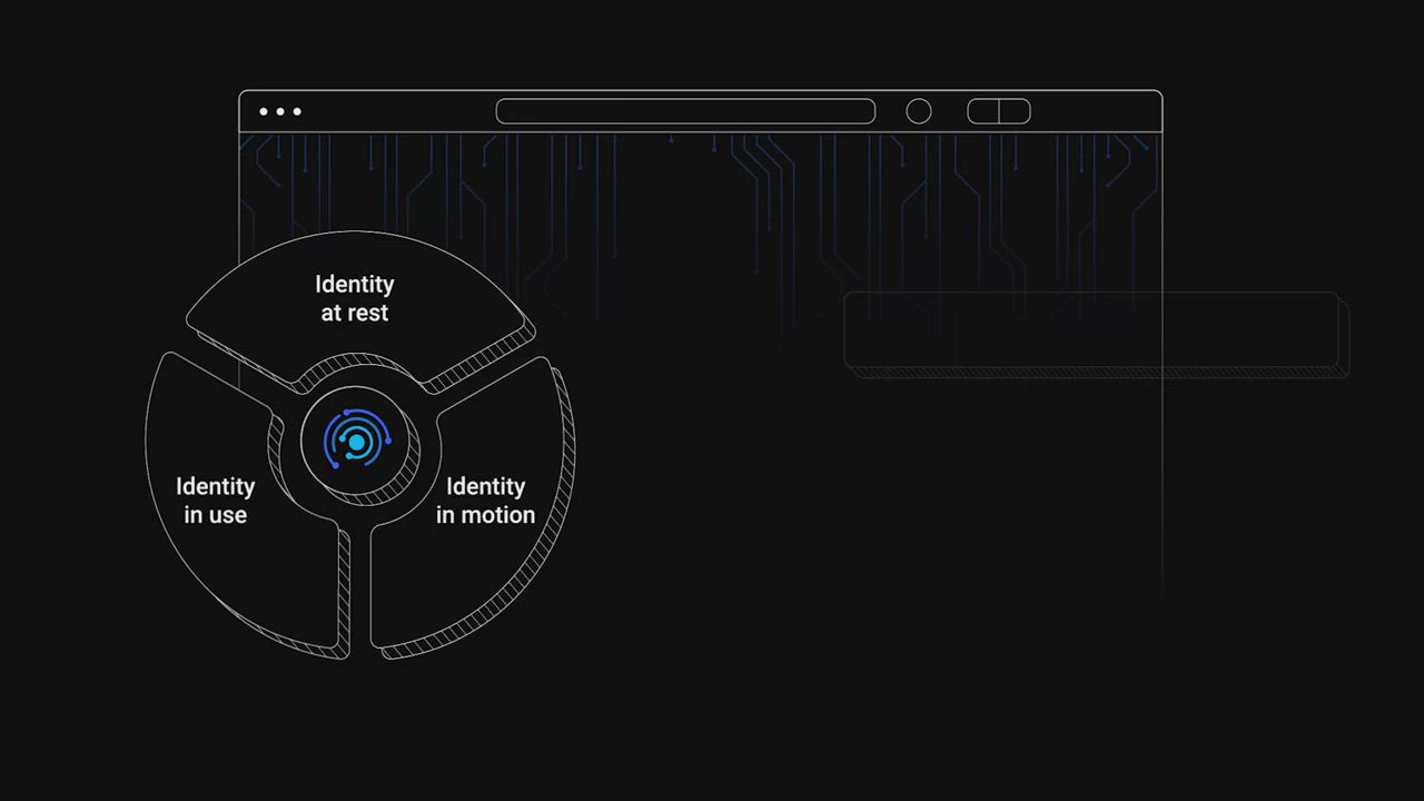 WideField diagram dividing identity security into at rest, in motion, and in use