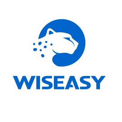 Wiseasy company logo - a stylized cheetah above the wordmark WISEASY