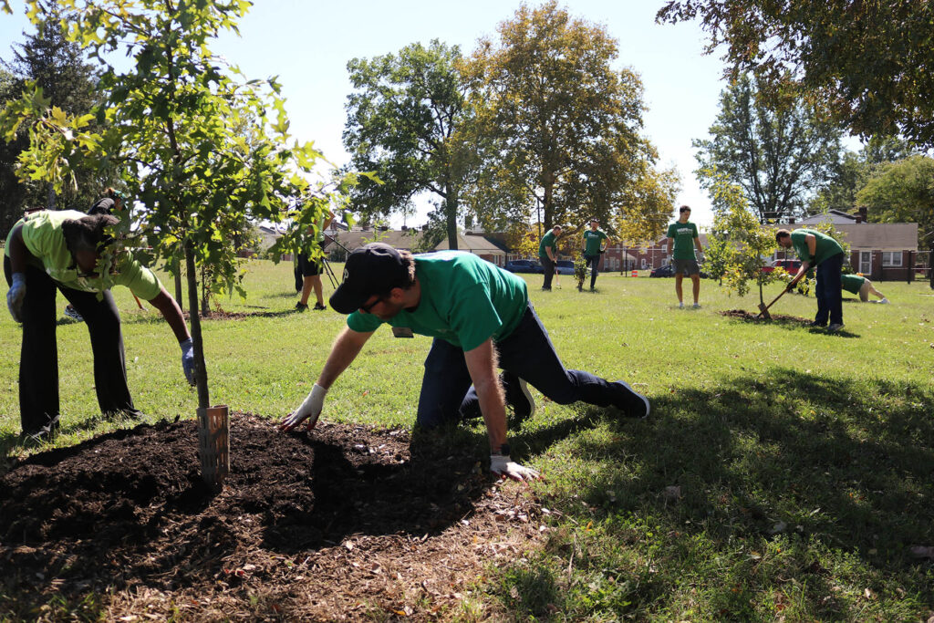 WSFS volunteers planting young trees in a grassy community space