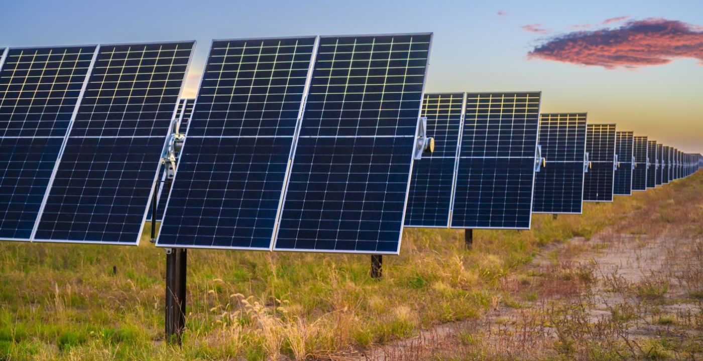 Rows of Sherco solar panels tilted toward the sky above native vegetation