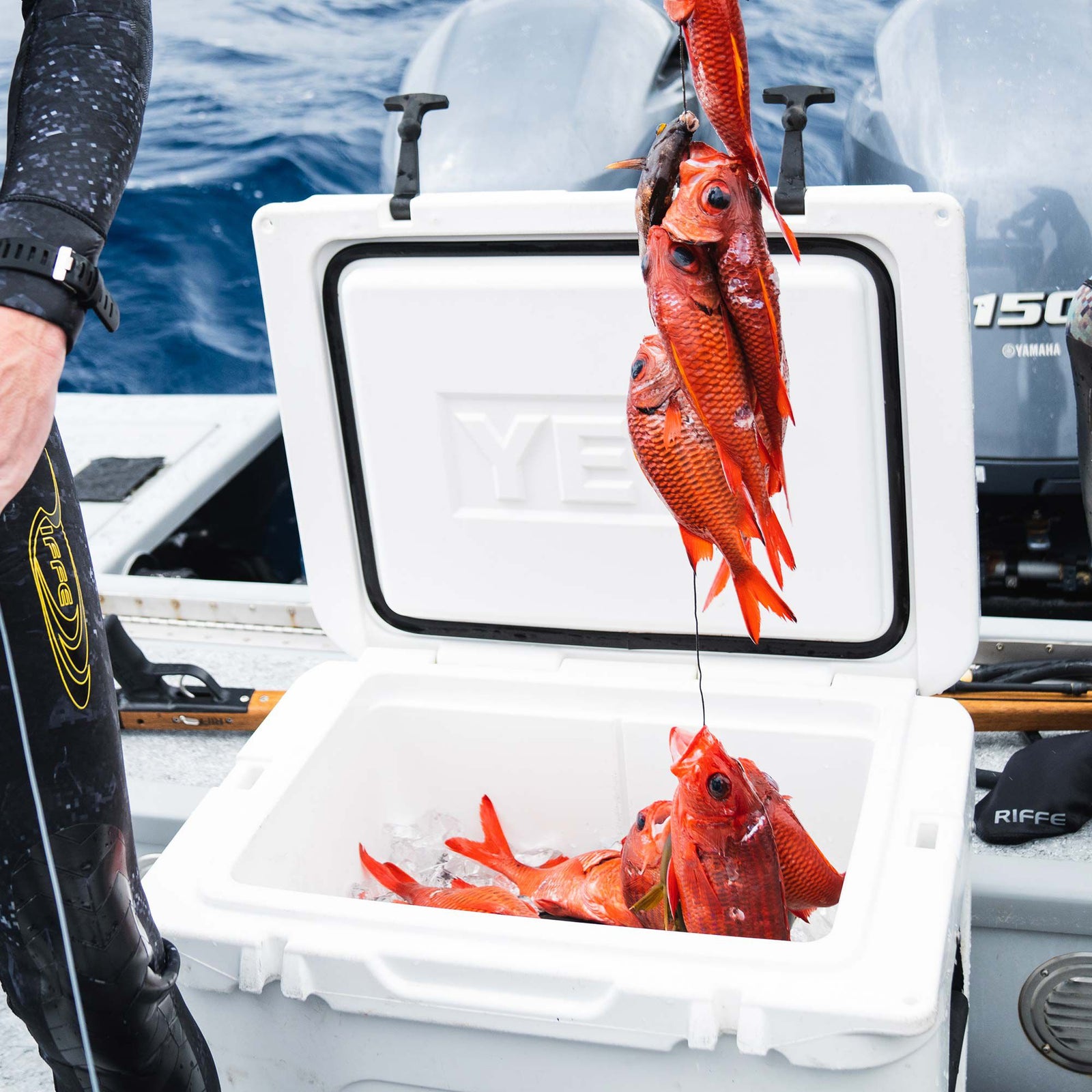 A white YETI cooler filled with fish and ice, with more fish hanging beside it