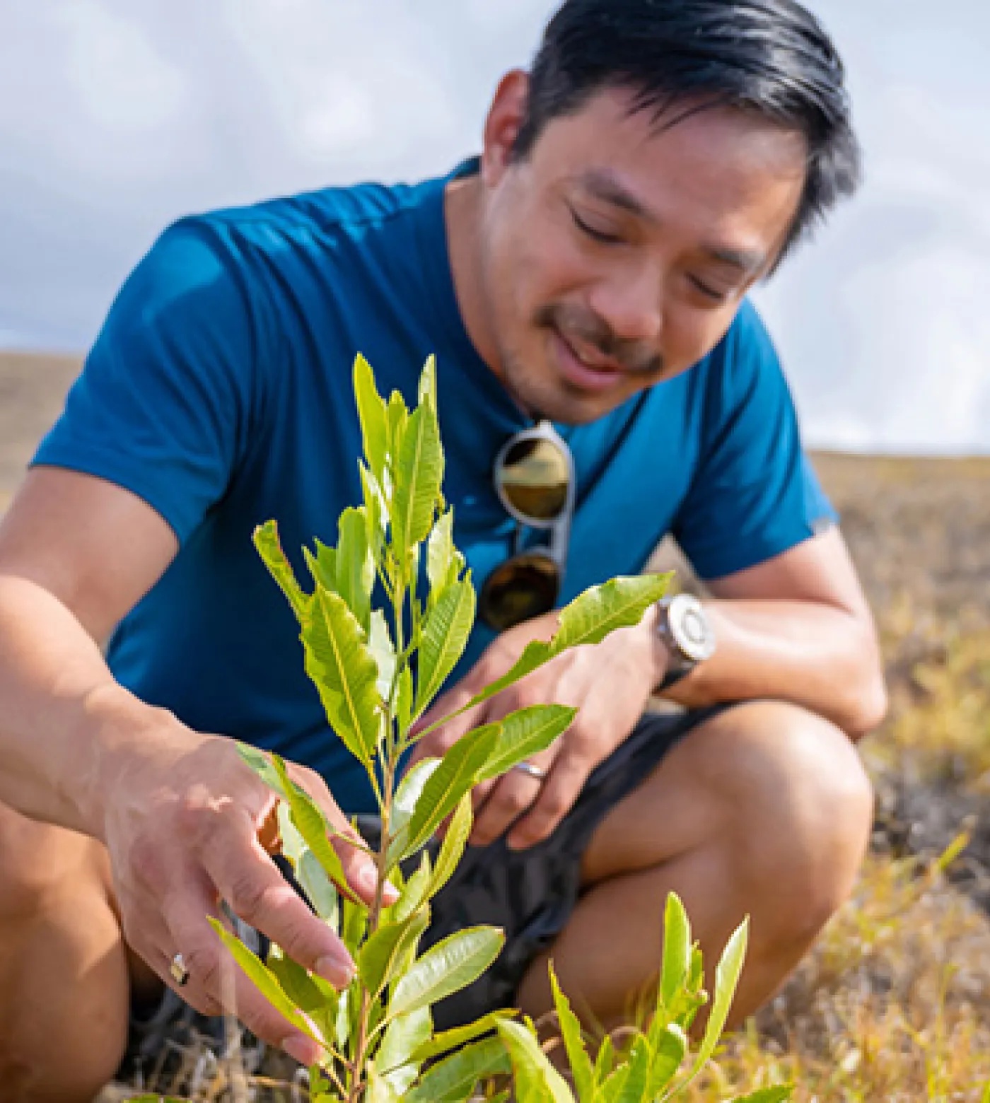 Yishan Wong crouches beside a young plant outdoors, examining its leaves.