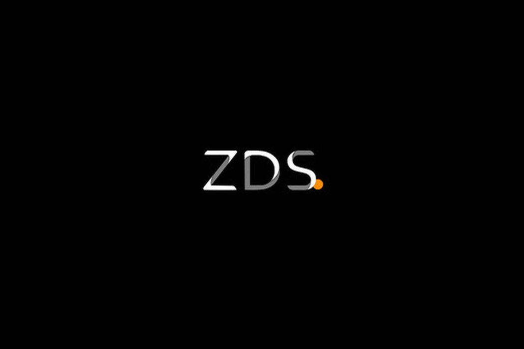 ZDS Media agency