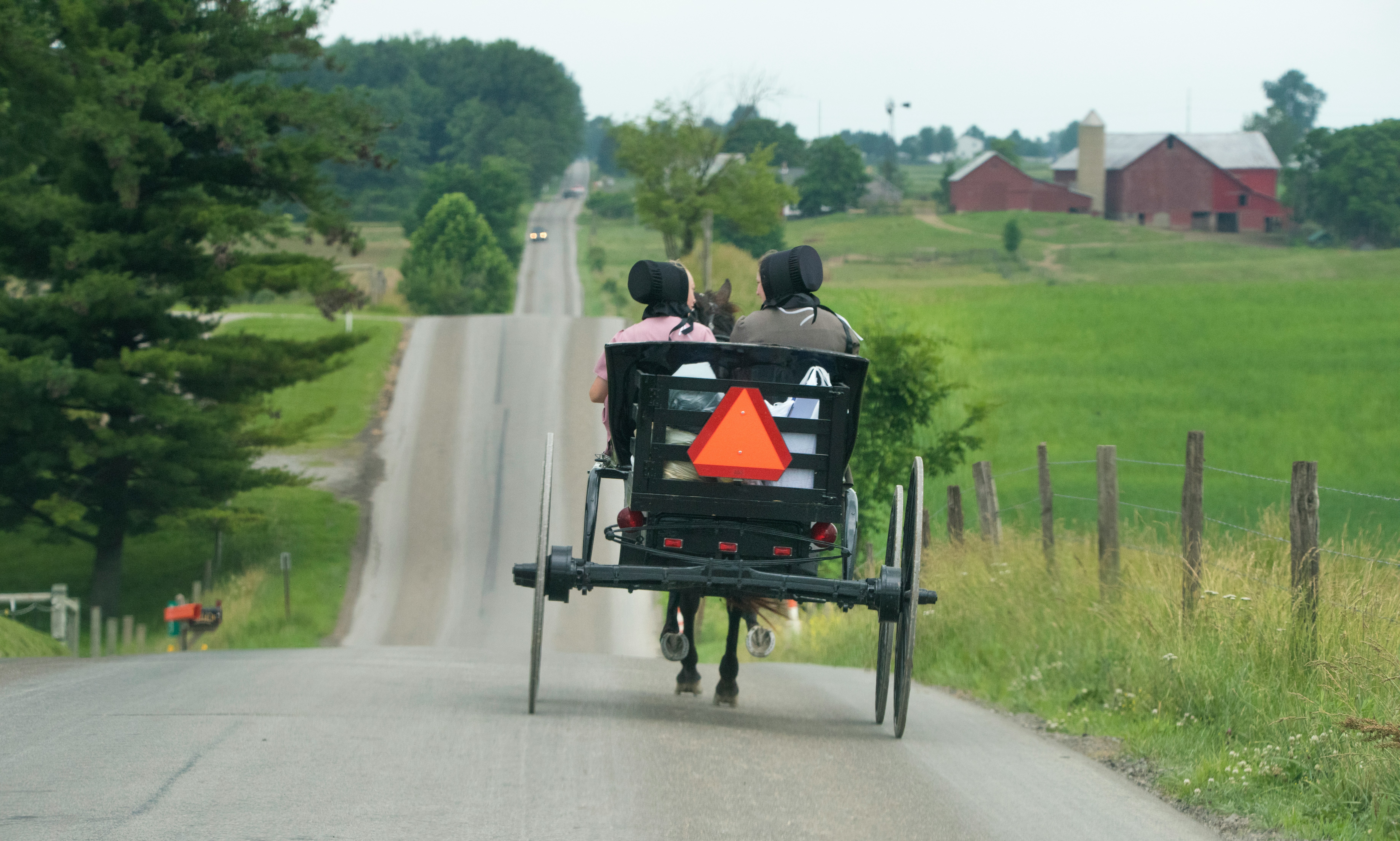 An Amish horse-drawn buggy on a rural road