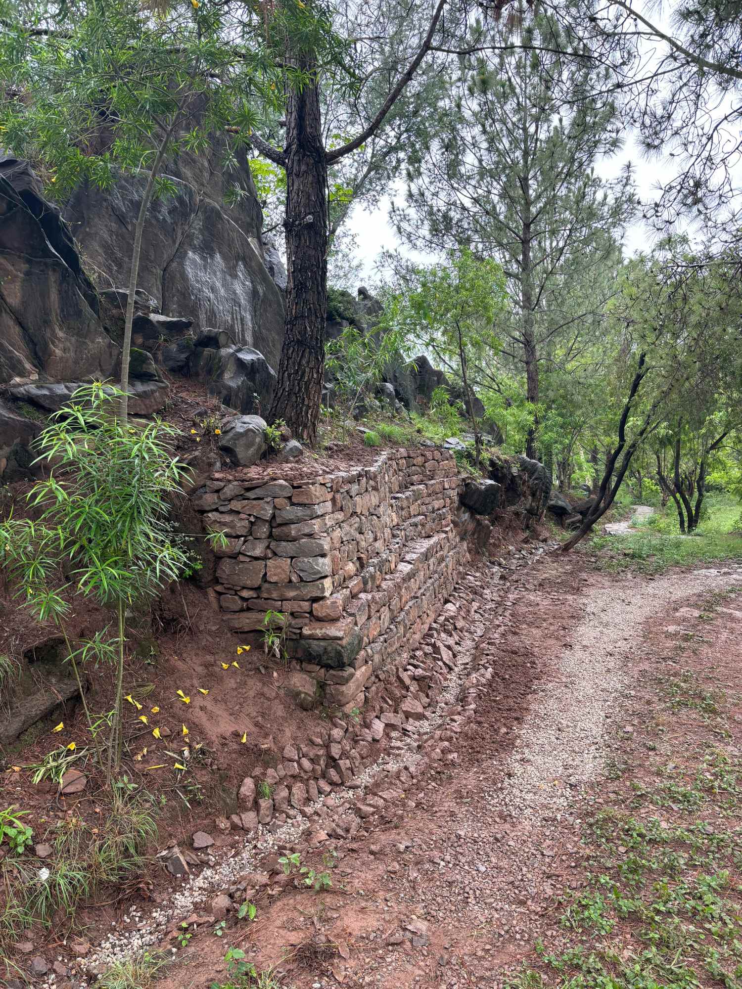 A woodland path beside terraced stonework at Diyaar